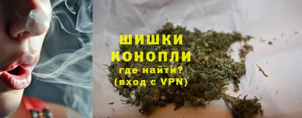 гидра Волоколамск