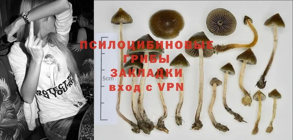 гидра Волоколамск