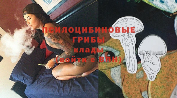 гидра Волоколамск
