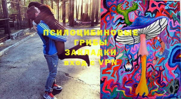 гидра Волоколамск