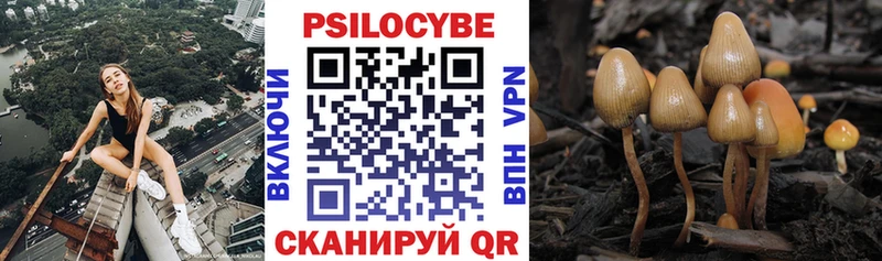 Псилоцибиновые грибы MAGIC MUSHROOMS  где можно купить   Хабаровск 