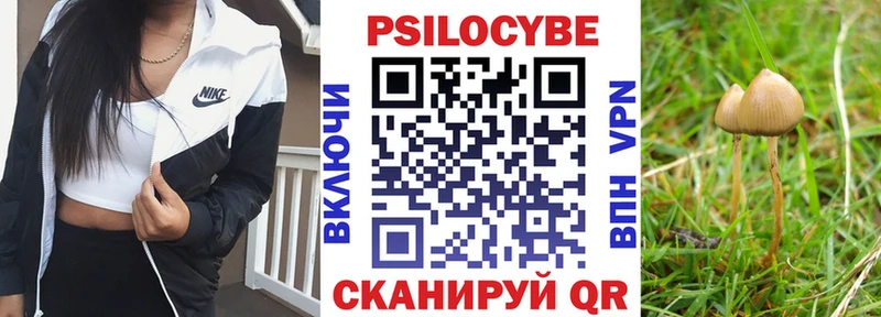 Псилоцибиновые грибы Magic Shrooms Хабаровск